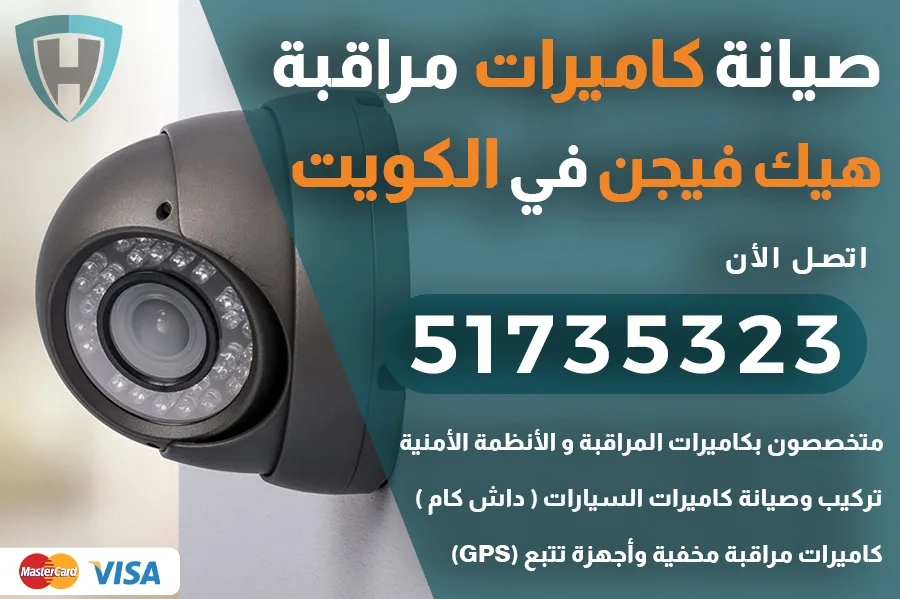 كاميرات مراقبة هيك فيجن